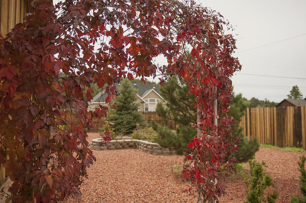 Grand Canyon Bed And Breakfast Вільямс Екстер'єр фото